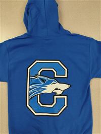 Back of blue zipper hoodie